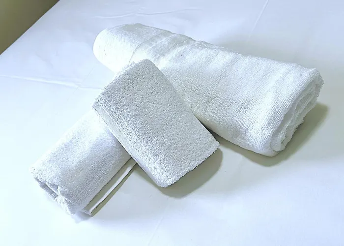 Contact Hotel Arc-En-Ciel - Renove 3* ミュルーズ